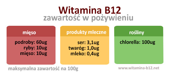 Witamina B12 Ważne Pytania W Skrócie Dr Schweikart