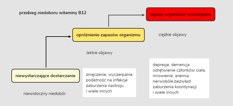 Niedobór Witaminy B12 Objawy Dr Schweikart